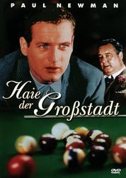 Haie der Großstadt Haie der Großstadt
