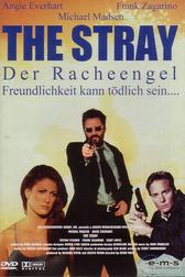 The Stray - Der Racheengel